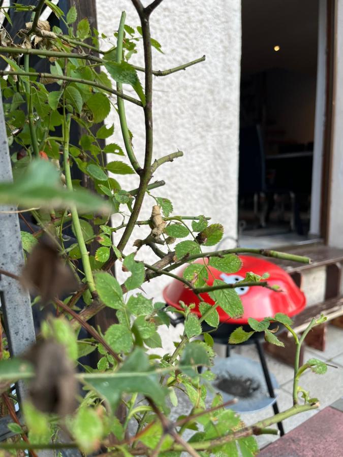 Ferienwohnung Alpina Haus Oberammergau Exterior foto
